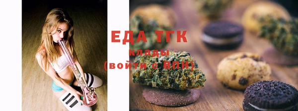 стафф Касимов