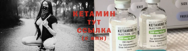 стафф Касимов