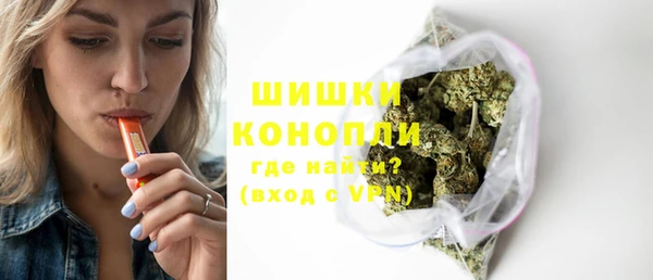 стафф Касимов