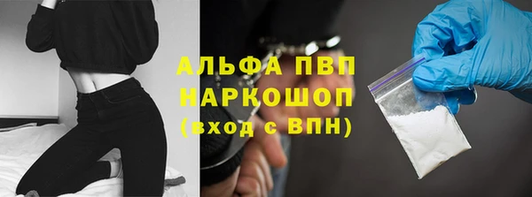 стафф Касимов