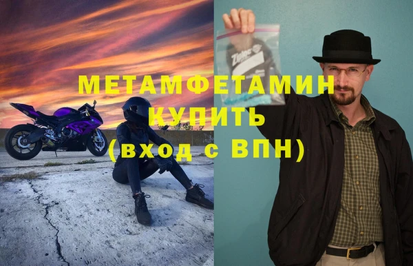 стафф Касимов