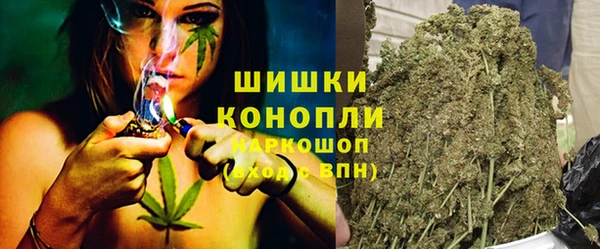 стафф Касимов