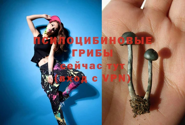 стафф Касимов