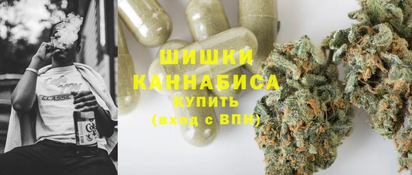 стафф Касимов