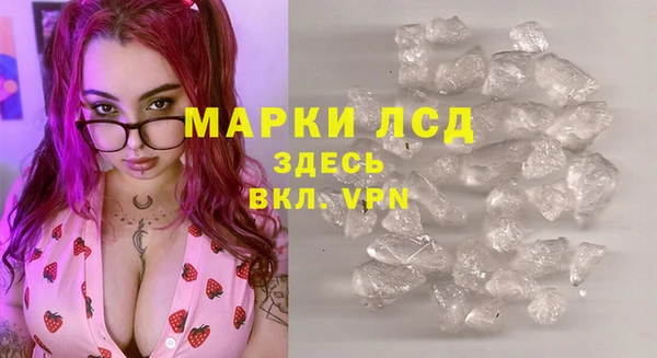 стафф Касимов