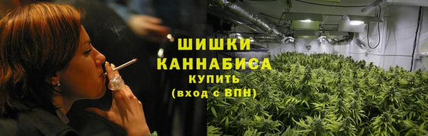 стафф Касимов