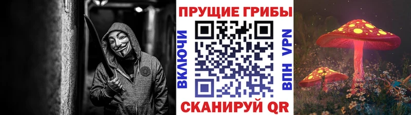 Купить где  Светлоград  Псилоцибиновые грибы прущие грибы 